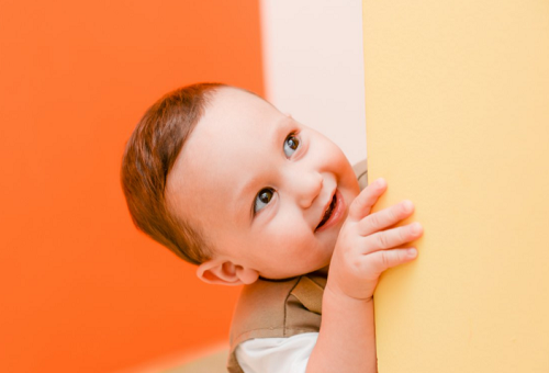 刘姓羊宝宝取名大全2023款 刘姓羊宝宝取名大全2023款免费